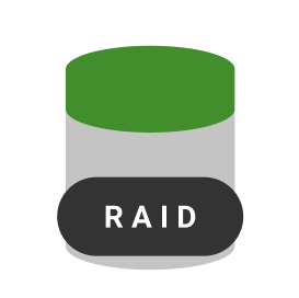 Datenrettung RAID